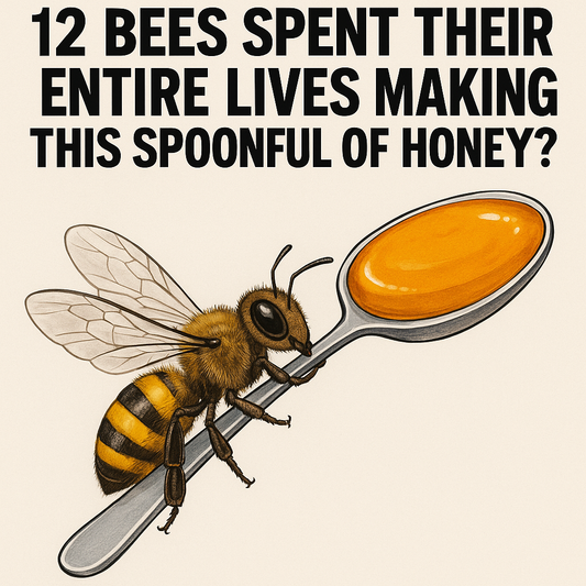Bee  honey-drama